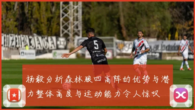 杨毅分析森林狼四高阵的优势与潜力整体高度与运动能力令人惊叹