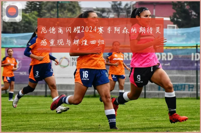 厄德高闪耀2024赛季阿森纳期待灵感重现与辉煌回归