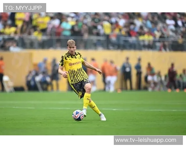 斯文松谈加盟多特:这是我职业生涯中的绝佳机会与完美契合 斯文松谈加盟多特:这是我职业生涯中的绝佳机会与完美契合